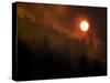 Sunset Breaks Through Smoke of the Hayman Wildfire-null-Stretched Canvas