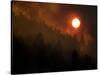 Sunset Breaks Through Smoke of the Hayman Wildfire-null-Stretched Canvas