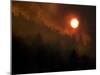 Sunset Breaks Through Smoke of the Hayman Wildfire-null-Mounted Premium Photographic Print