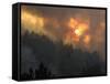 Sunset Breaks Through Smoke of the Hayman Wildfire-null-Framed Stretched Canvas