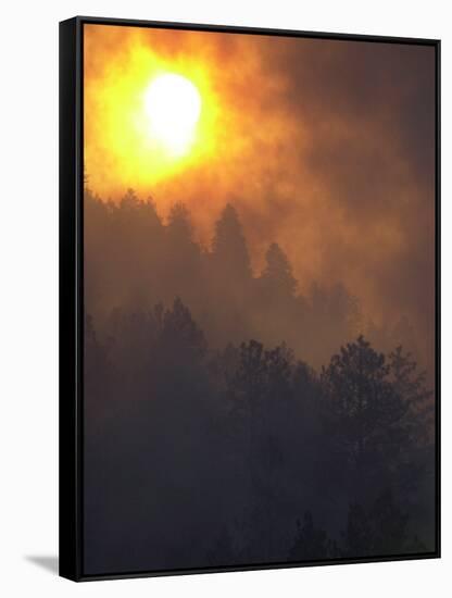 Sunset Breaks Through Smoke of the Hayman Wildfire-null-Framed Stretched Canvas