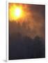 Sunset Breaks Through Smoke of the Hayman Wildfire-null-Framed Photographic Print