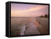 Sunset, Brighton Beach, Adelaide, South Australia, Australia-Neale Clarke-Framed Stretched Canvas