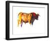 Sunset Bull, 2010-Mark Adlington-Framed Photographic Print