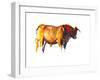 Sunset Bull, 2010-Mark Adlington-Framed Photographic Print