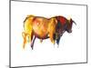 Sunset Bull, 2010-Mark Adlington-Mounted Photographic Print