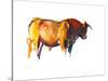 Sunset Bull, 2010-Mark Adlington-Stretched Canvas