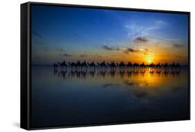 Sunset Camel Ride-Louise Wolbers-Framed Stretched Canvas