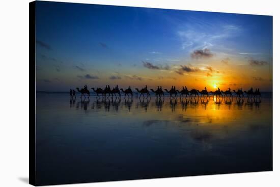 Sunset Camel Ride-Louise Wolbers-Stretched Canvas