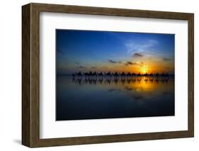 Sunset Camel Ride-Louise Wolbers-Framed Photographic Print