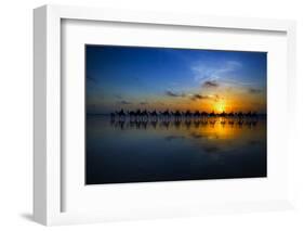 Sunset Camel Ride-Louise Wolbers-Framed Photographic Print