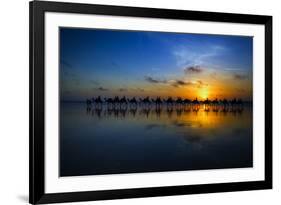 Sunset Camel Ride-Louise Wolbers-Framed Photographic Print