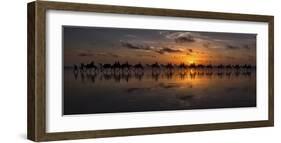 Sunset Camel Safari-Louise Wolbers-Framed Giclee Print