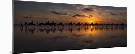 Sunset Camel Safari-Louise Wolbers-Mounted Giclee Print