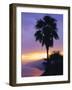 Sunset, Camogli, Looking West Along Portofino Peninsula, Liguria, Italy, Europe-Ruth Tomlinson-Framed Photographic Print