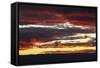 Sunset, Canberra, ACT, Australia-David Wall-Framed Stretched Canvas