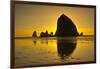 Sunset, Cannon Beach, Oregon, USA-Michel Hersen-Framed Photographic Print