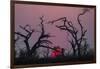 Sunset, Chobe National Park, Botswana, Africa-Ann and Steve Toon-Framed Photographic Print