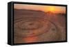 Sunset Circles at Slacker Hill, Marin Headlands-Vincent James-Framed Stretched Canvas