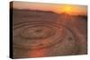 Sunset Circles at Slacker Hill, Marin Headlands-Vincent James-Stretched Canvas