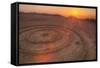 Sunset Circles at Slacker Hill, Marin Headlands-Vincent James-Framed Stretched Canvas