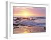 Sunset Cliffs Beach on the Pacific Ocean at Sunset, San Diego, California, USA-Christopher Talbot Frank-Framed Premium Photographic Print