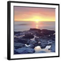 Sunset Cliffs Tidepools on the Pacific Ocean Reflecting the Sunset, San Diego, California, USA-Christopher Talbot Frank-Framed Photographic Print