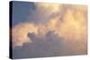 Sunset clouds over Amazon basin, Peru.-Tom Norring-Stretched Canvas