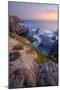 Sunset Color at Bodega Head, California Coast-Vincent James-Mounted Photographic Print