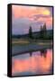 Sunset Color at Gibbon River, Yellowstone-Vincent James-Framed Stretched Canvas