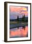 Sunset Color at Gibbon River, Yellowstone-Vincent James-Framed Photographic Print