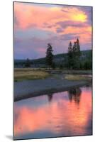 Sunset Color at Gibbon River, Yellowstone-Vincent James-Mounted Photographic Print