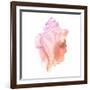 Sunset Conch I-Jacob Green-Framed Art Print