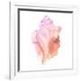 Sunset Conch I-Jacob Green-Framed Art Print