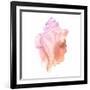 Sunset Conch I-Jacob Green-Framed Art Print