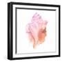 Sunset Conch I-Jacob Green-Framed Art Print