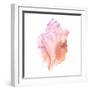 Sunset Conch I-Jacob Green-Framed Art Print