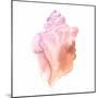 Sunset Conch I-Jacob Green-Mounted Art Print