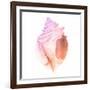 Sunset Conch II-Jacob Green-Framed Premium Giclee Print