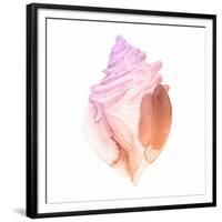 Sunset Conch II-Jacob Green-Framed Premium Giclee Print