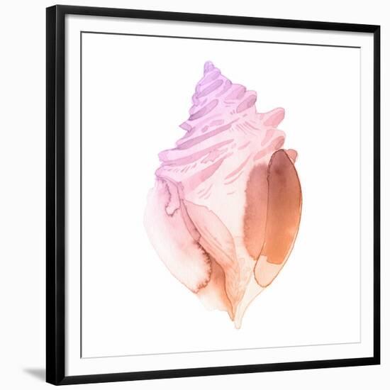 Sunset Conch II-Jacob Green-Framed Premium Giclee Print