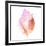 Sunset Conch II-Jacob Green-Framed Premium Giclee Print