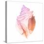 Sunset Conch II-Jacob Green-Stretched Canvas