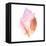 Sunset Conch II-Jacob Green-Framed Stretched Canvas