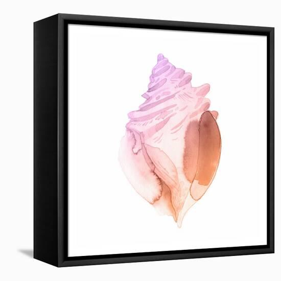 Sunset Conch II-Jacob Green-Framed Stretched Canvas