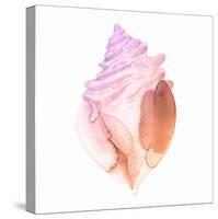 Sunset Conch II-Jacob Green-Stretched Canvas