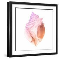 Sunset Conch II-Jacob Green-Framed Art Print