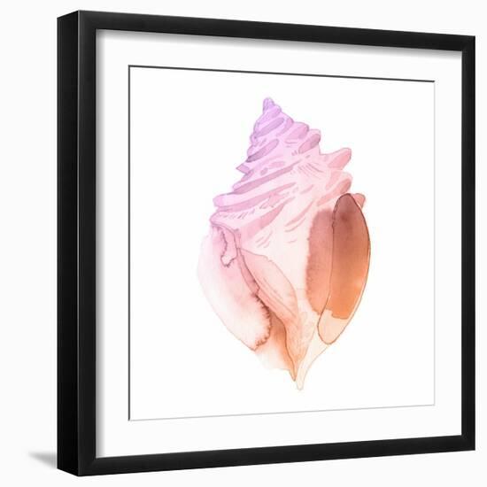 Sunset Conch II-Jacob Green-Framed Art Print