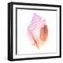 Sunset Conch II-Jacob Green-Framed Art Print