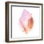 Sunset Conch II-Jacob Green-Framed Art Print